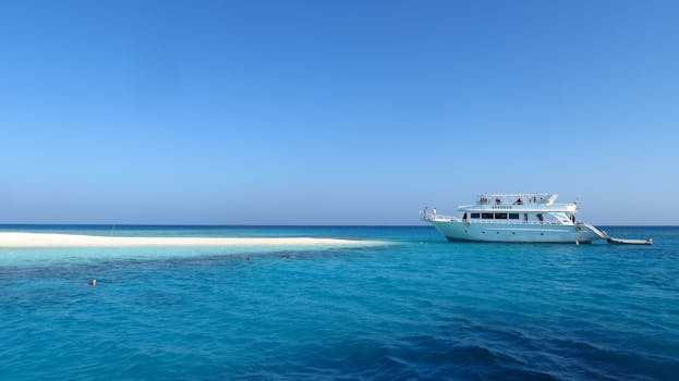Best Beach Resorts in the Philippines for Snorkeling and Diving